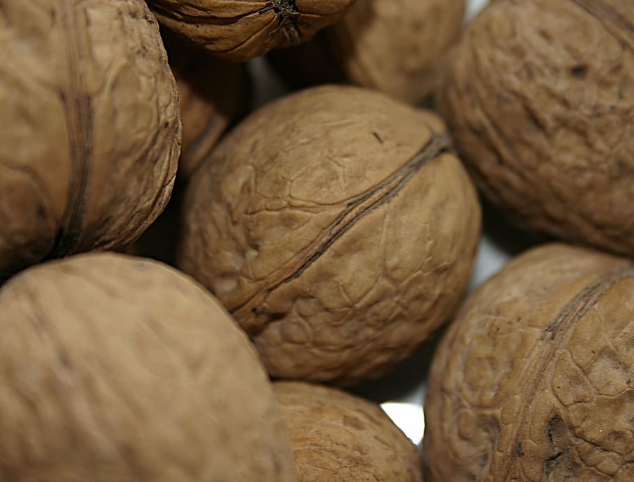 walnut, nuts, fresh, tasty, food, gourmet, healthy, seasonal HD wallpaper