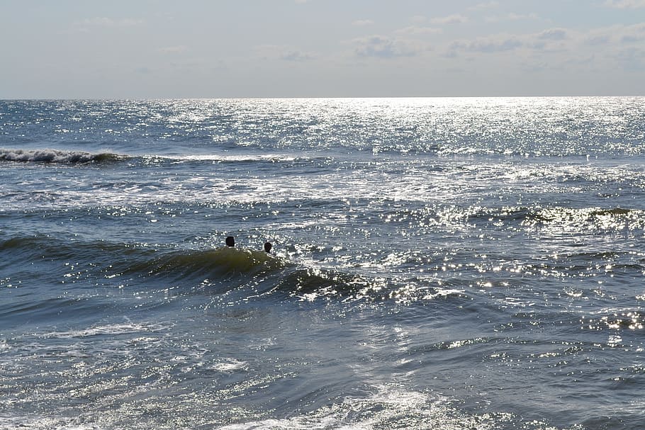 Beach, Ocean, Water, Surf, summer, blue, sea, horizon over water HD wallpaper