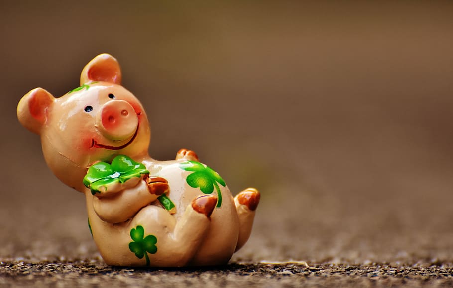 pig figurine, lucky pig, figure, lucky charm, funny, sweet, animal, HD wallpaper