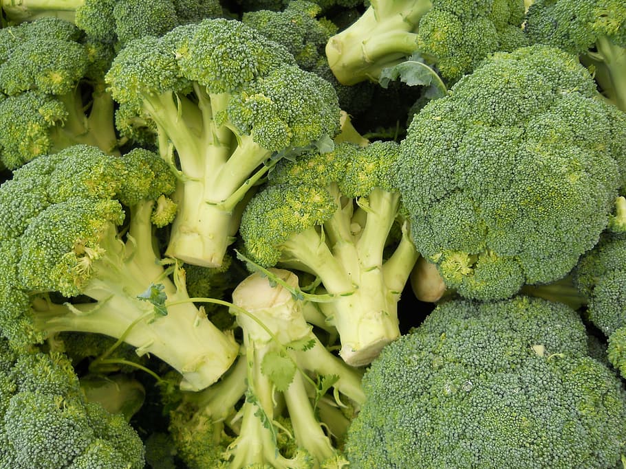 bunch of broccoli, green, food, healthy, eating, vegetarian, vegetable, HD wallpaper