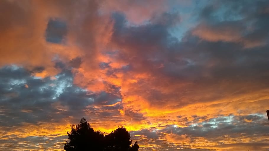 morning, sky, cloudy, cloud - sky, sunset, beauty in nature HD wallpaper