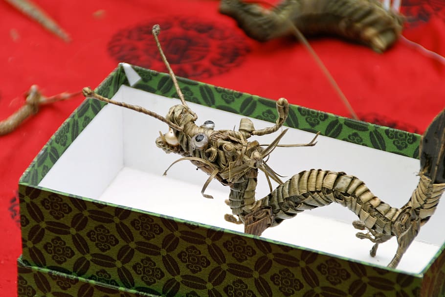 dragons, tinker, gift, animal, insect, high angle view, no people HD wallpaper