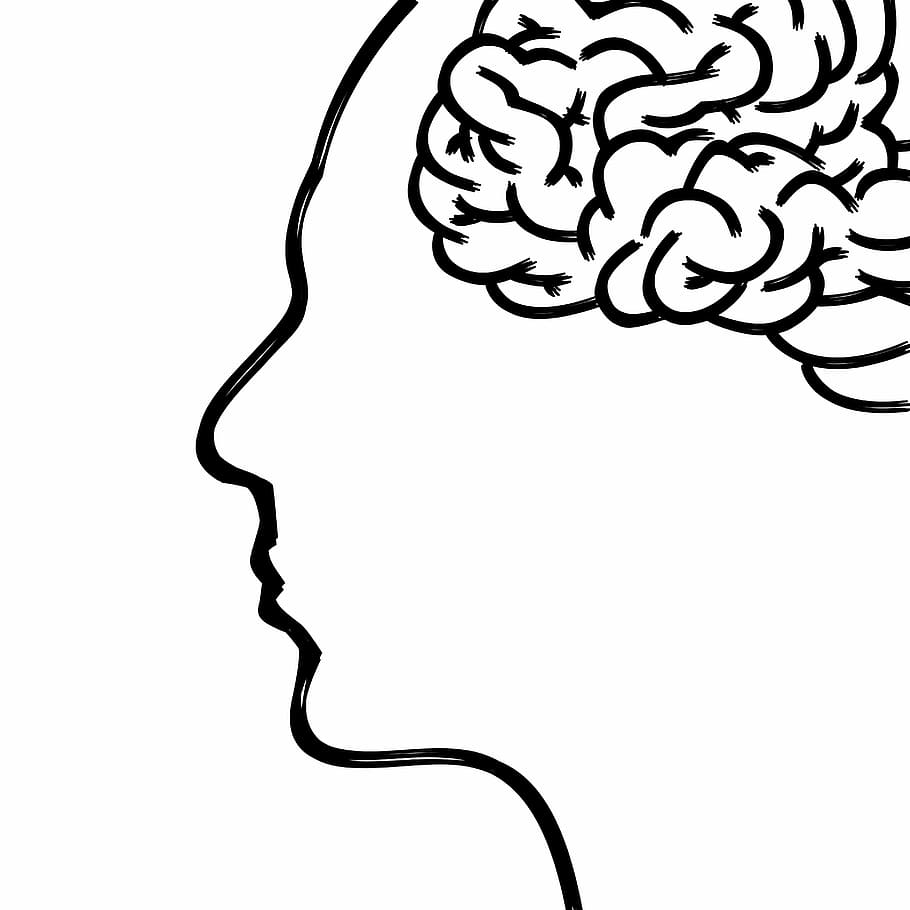 human face sketch, head, brain, thoughts, human body, psychology, HD wallpaper