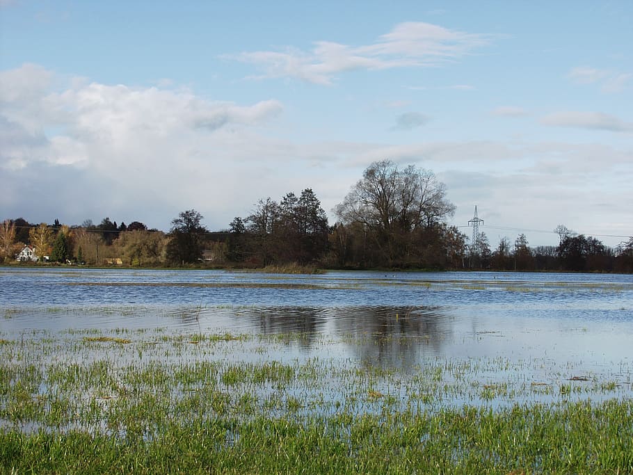 river, flooding, reported, water, mirroring, plant, sky, beauty in nature HD wallpaper
