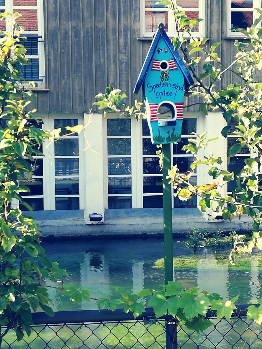 sweet, blue, river, ulm, fishermen's quarter, aviary, deco HD wallpaper