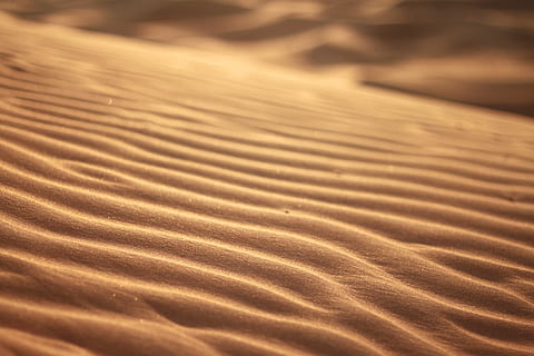 desert sand, sand Dune, nature, beach, no People, dry, wave Pattern HD wallpaper