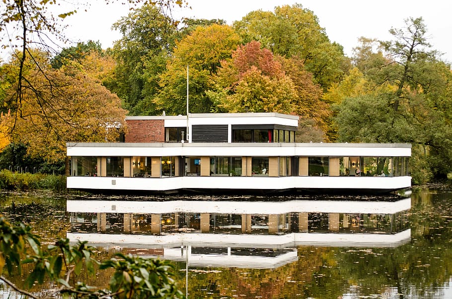 Fall, Autumn, bürgerpark, tree, day, outdoors, building exterior HD wallpaper