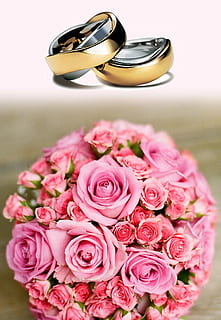 two gold-colored wedding ring and bouquet of rose, wedding rings HD wallpaper