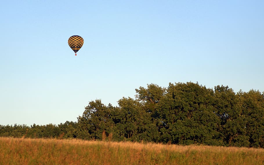 balloon, meadow, forest, landscape, panorama, tree, grass, summer HD wallpaper