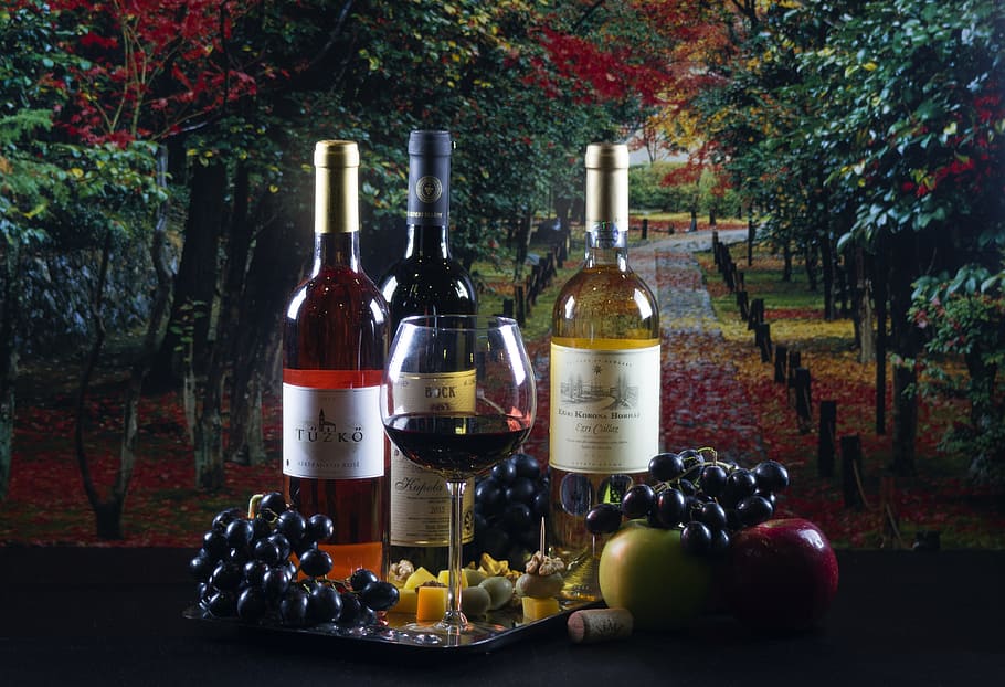 Wine, Wein, Grape, Flint, Mice, Villány, blaufränkisch, rose HD wallpaper