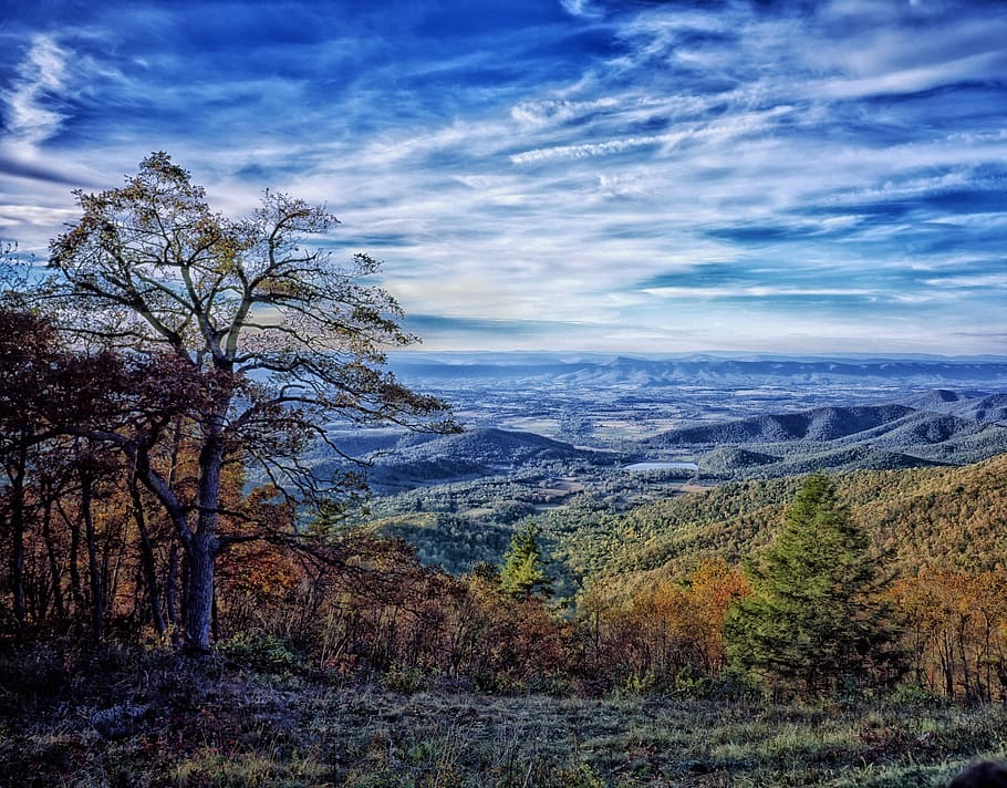 aerial view of forest, Virginia, Landscape, Mountains, Valley HD wallpaper