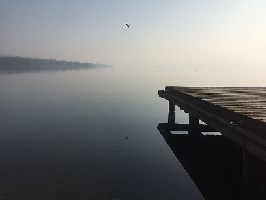 Lake, Varese, Seagull, Reflection, landscape, winter, flying HD wallpaper