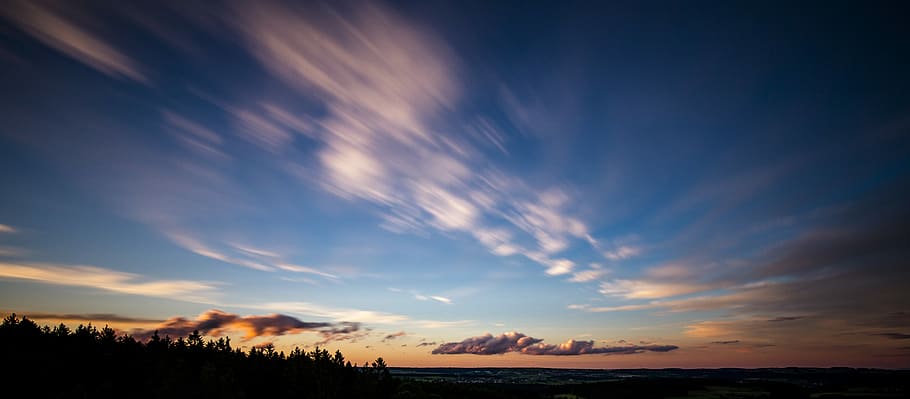 silhouette of trees near body of water, time lapse silhouette photography of a trees during golden hour HD wallpaper