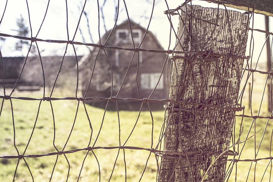shallow focus photography of gray fence, tilt, lens, wire, wood HD wallpaper