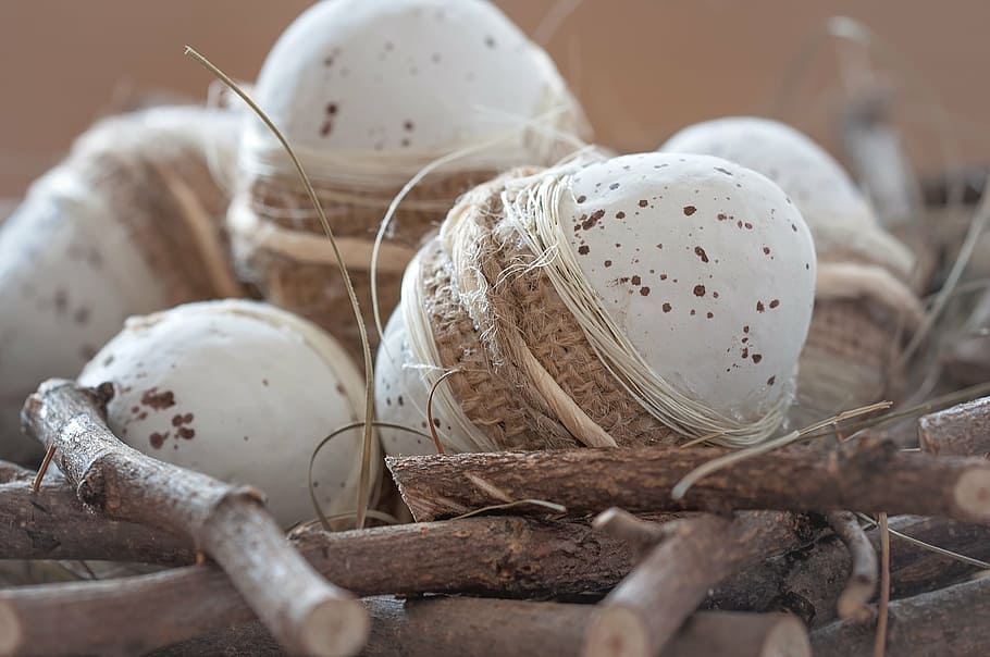 selective focus photography of poultry eggs, easter eggs, deco HD wallpaper