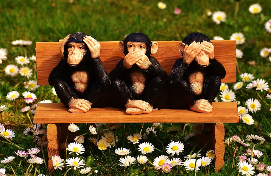 three wise monkey sitting on bench, not hear, not see, do not speak, HD wallpaper