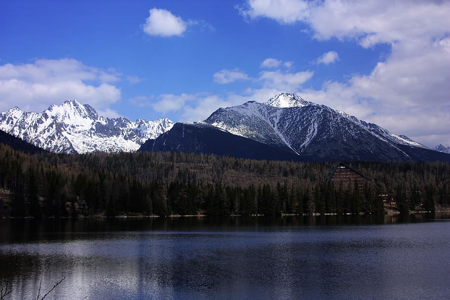 High, Mountains, Snow, Peak, Lake, nature, woodland, trees HD wallpaper
