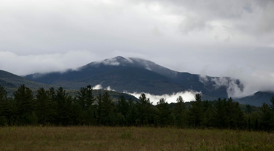 mist mountain across the forest, black, clouds, gray, green, mountains HD wallpaper