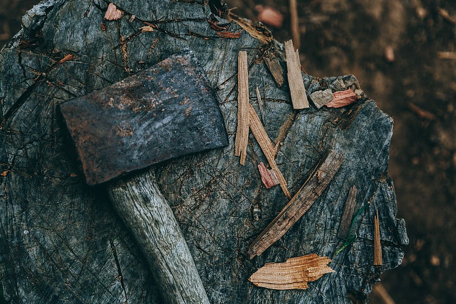 shallow focus photography of axe, axe on tree stump, wood, wood chopping