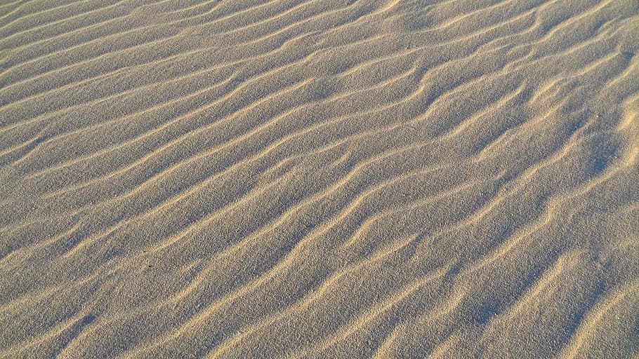 sand dune, desert, dry, beach, fuerteventura, canary islands HD wallpaper