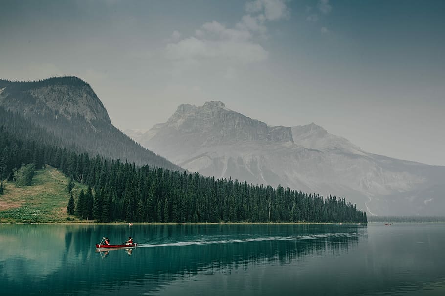 person riding on red boat, forest trees near on mountains, lake HD wallpaper