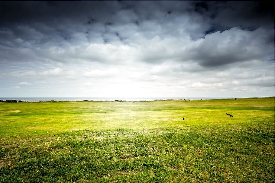 green, grass, field, cloudy, cloud - sky, environment, landscape HD wallpaper