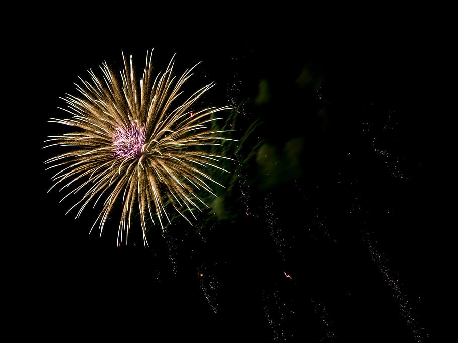 celebration, dark, evening, explosion, festival, fireworks HD wallpaper