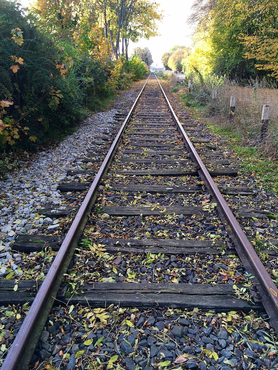 rail, straight, pave, railway, cumberland, sky, trees, leaves HD wallpaper