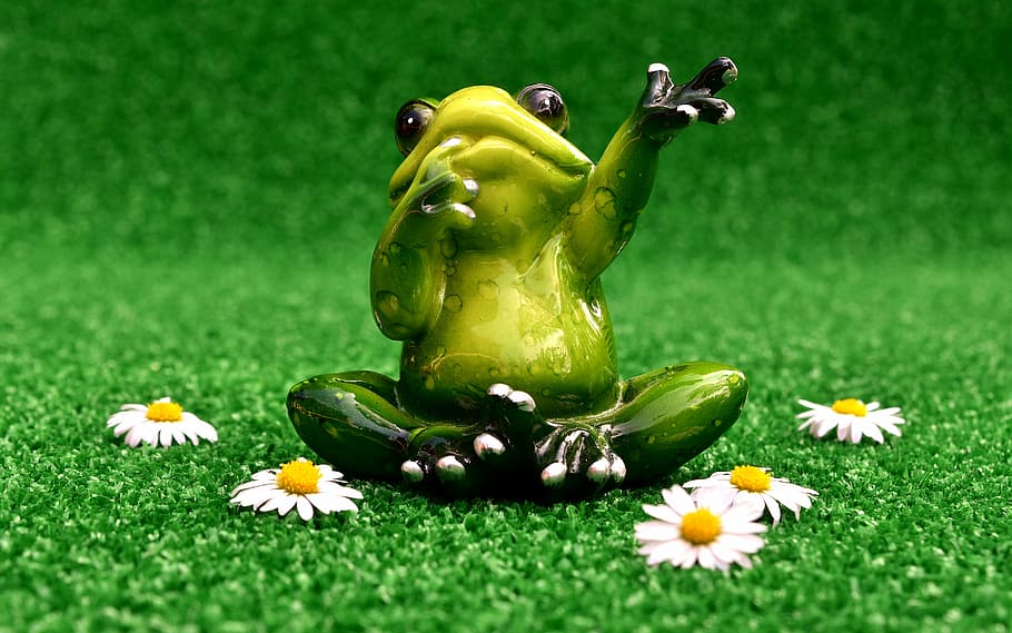 frog, wave, farewell, meadow, funny, cute, figure, sweet, plant HD wallpaper