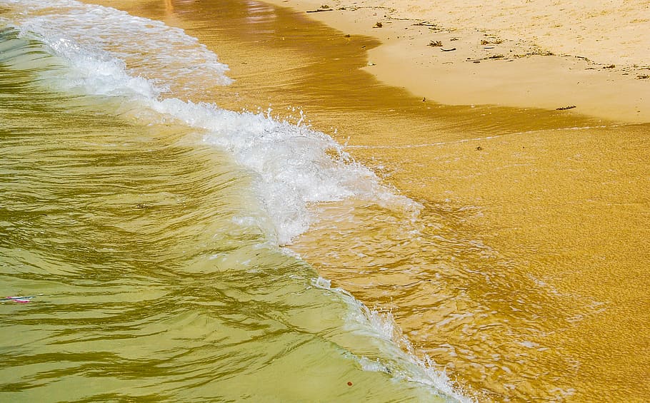 Paradise, beach shore during daytime, sea, ocean, water, wave HD wallpaper