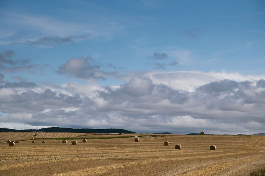 palencia, mowing, straw, clouds, sky, landscape, environment HD wallpaper