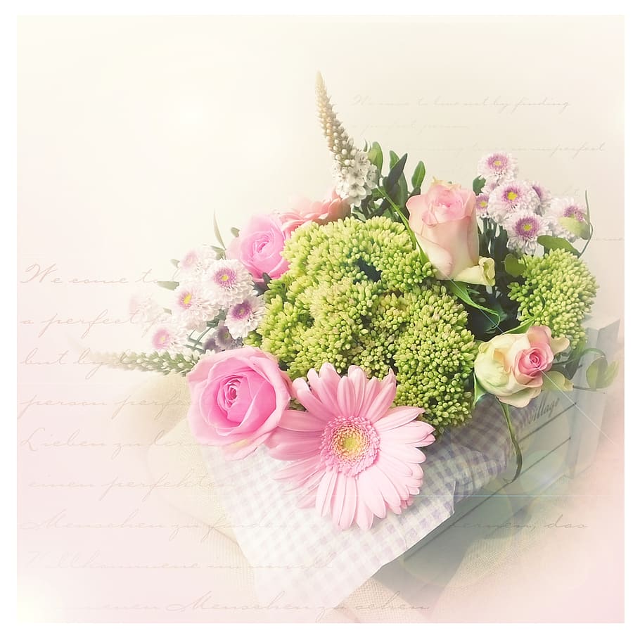 pink, white, and green flower bouquet, vintage, pastel, romantic, HD wallpaper
