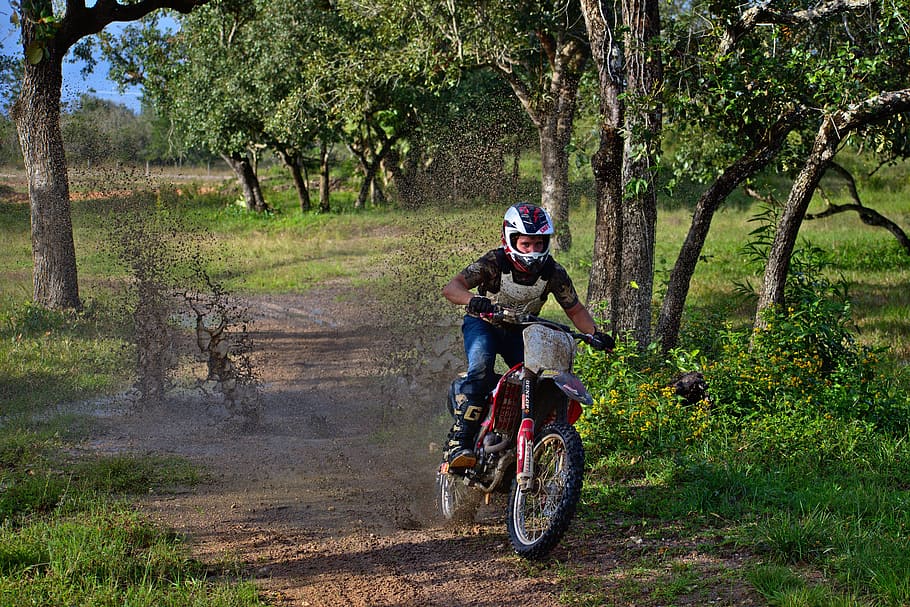 mud, splash, action, rider, wheel, tree, outdoors, lifestyle HD wallpaper