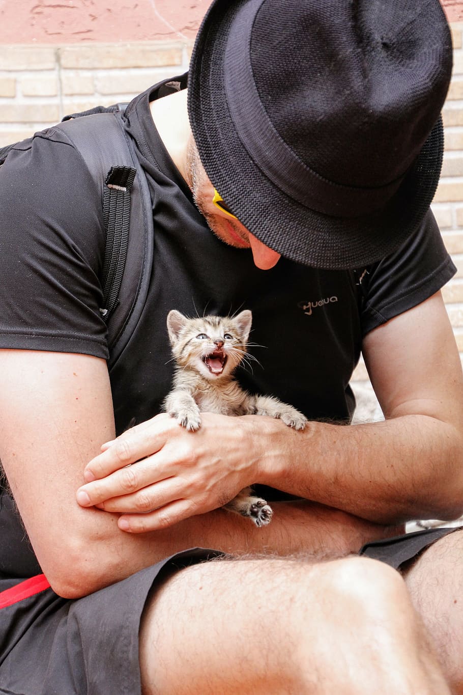 man holding brown tabby kitten, cat, small cat, sweet, pet HD wallpaper