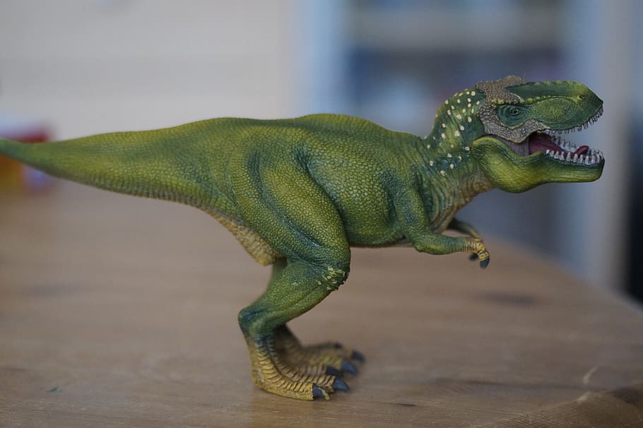 green T-Rex rubber toy on table, dino, dinosaur, tyrannosaurus rex, HD wallpaper