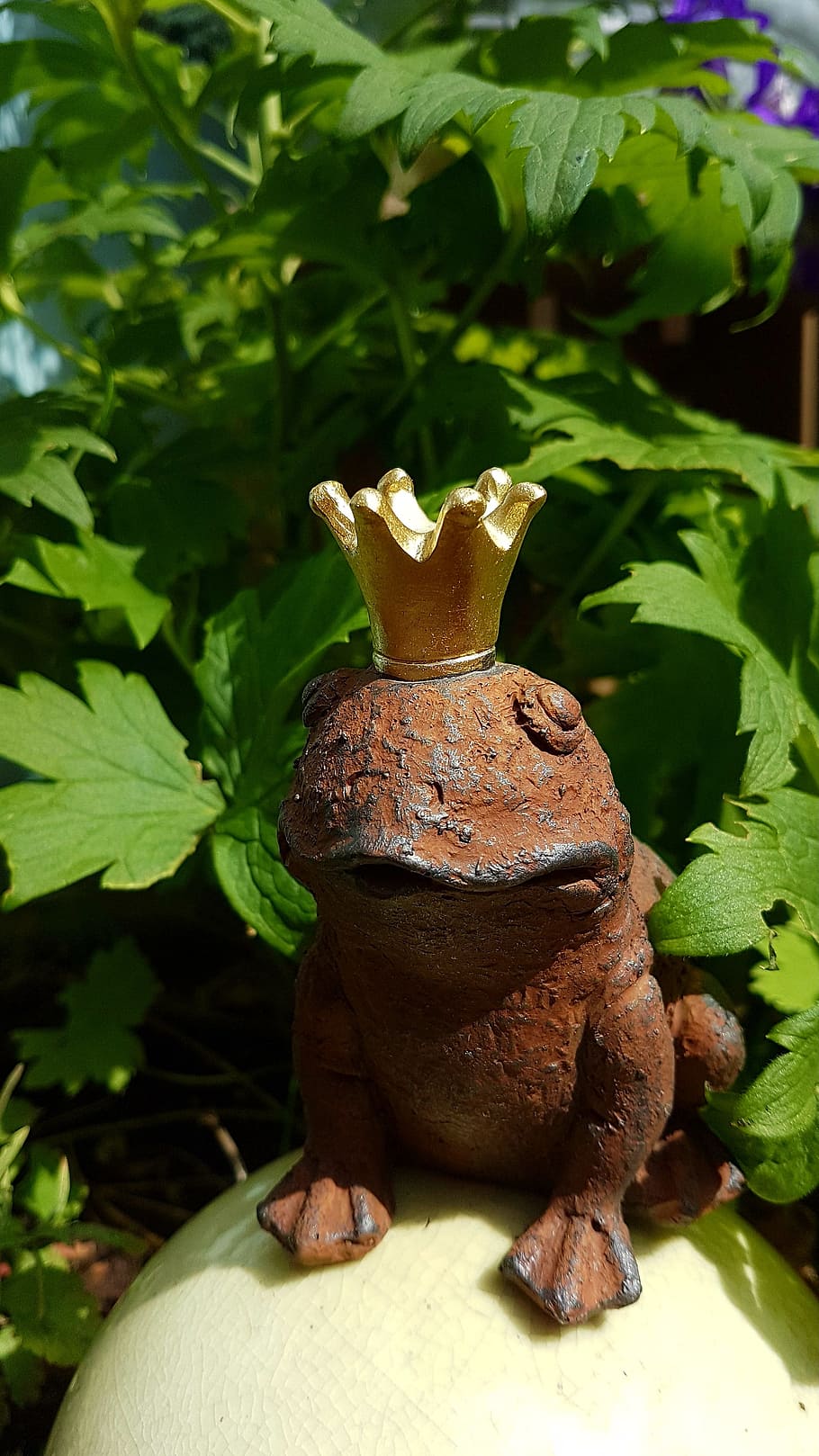 frog, frog prince, golden crown, sad, plant part, leaf, no people