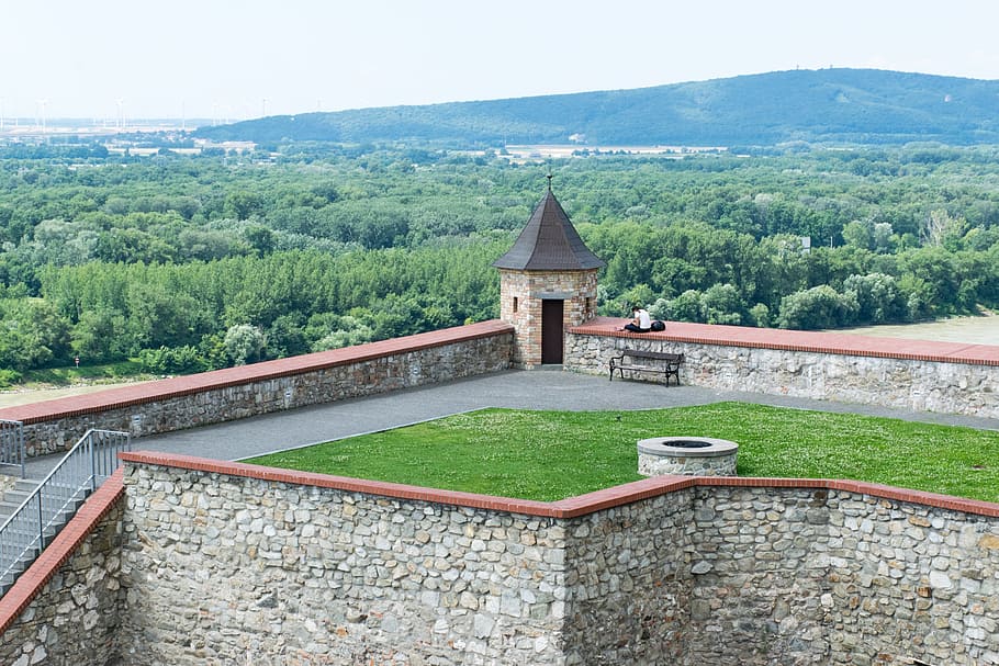 bratislava, slovakia, castle, tree, plant, architecture, built structure HD wallpaper