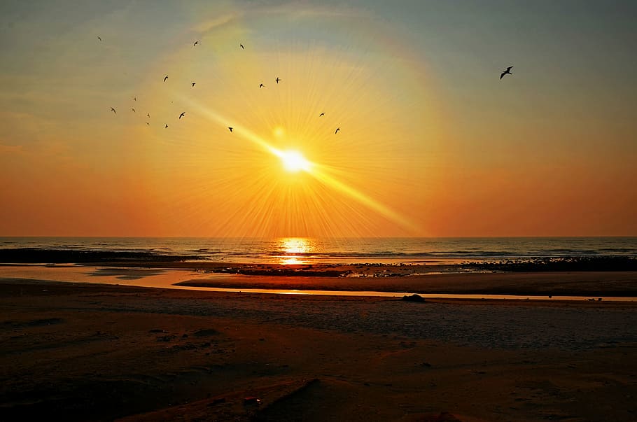 sunset, sea, beach, ocean, water, sky, nature, travel, sunrise HD wallpaper