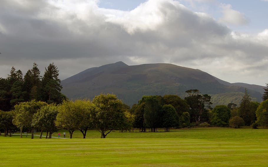 green grass field with trees near mountain, ireland, park, nature HD wallpaper