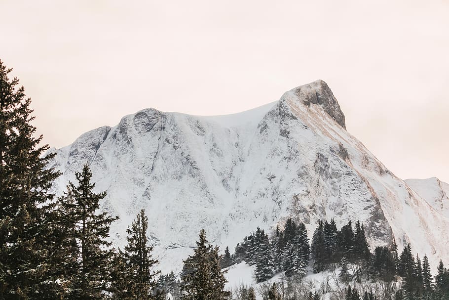 mountain, cold, snow, winter, snow-covered, wintry, eiskristalle HD wallpaper