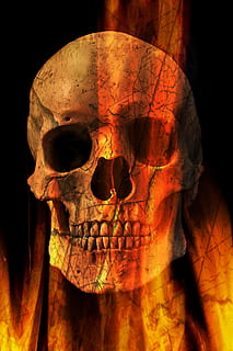 skull wallpaper, Skull And Crossbones, Skeleton, skull bone HD wallpaper