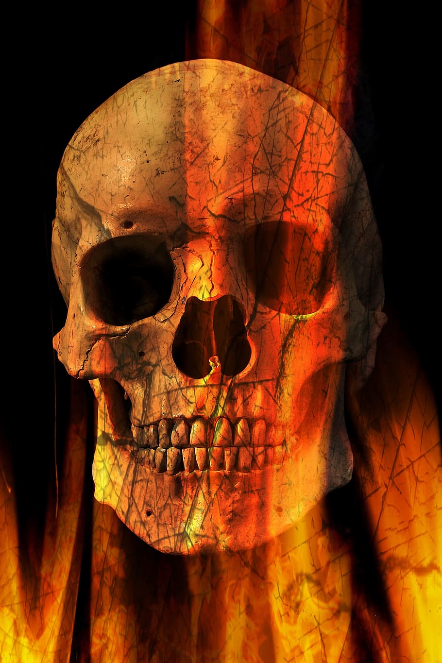 Download Skull wallpapers for mobile phone free Skull HD pictures