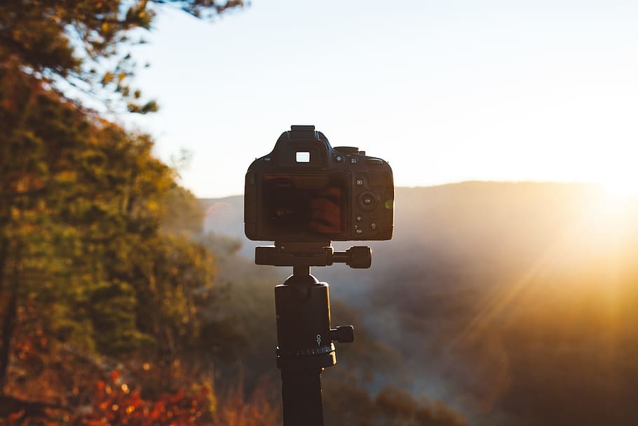 shallow focus photography of black DSLR camera, Getting the Shot HD wallpaper