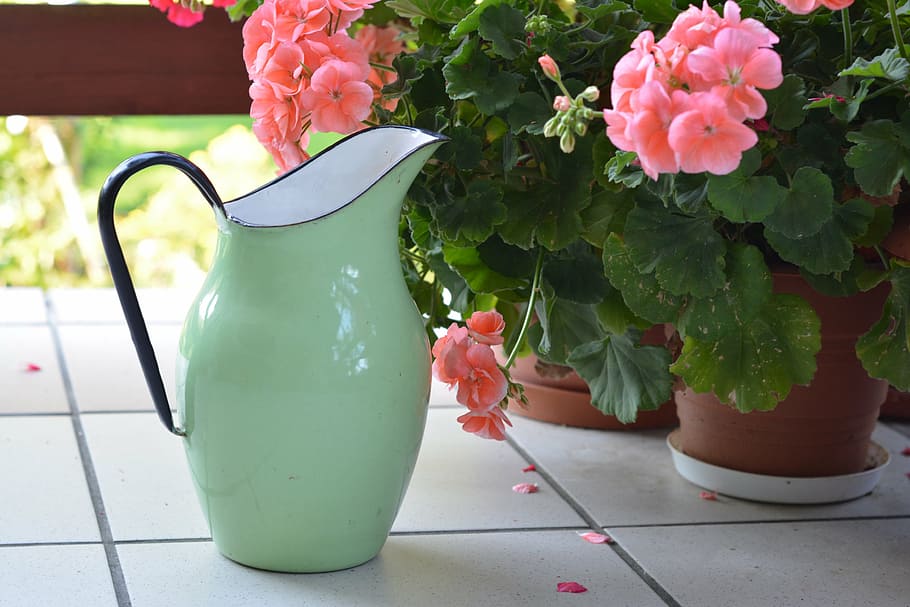 jug, pitcher, metal, metal jug, watered, watering, jug of water, HD wallpaper