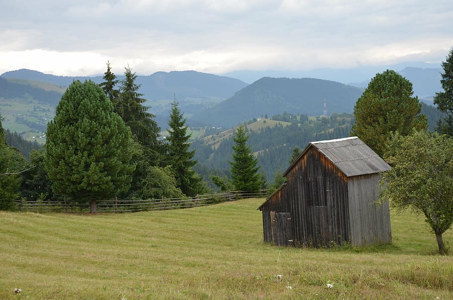 nature, ukraine, mountains, plant, tree, built structure, architecture HD wallpaper