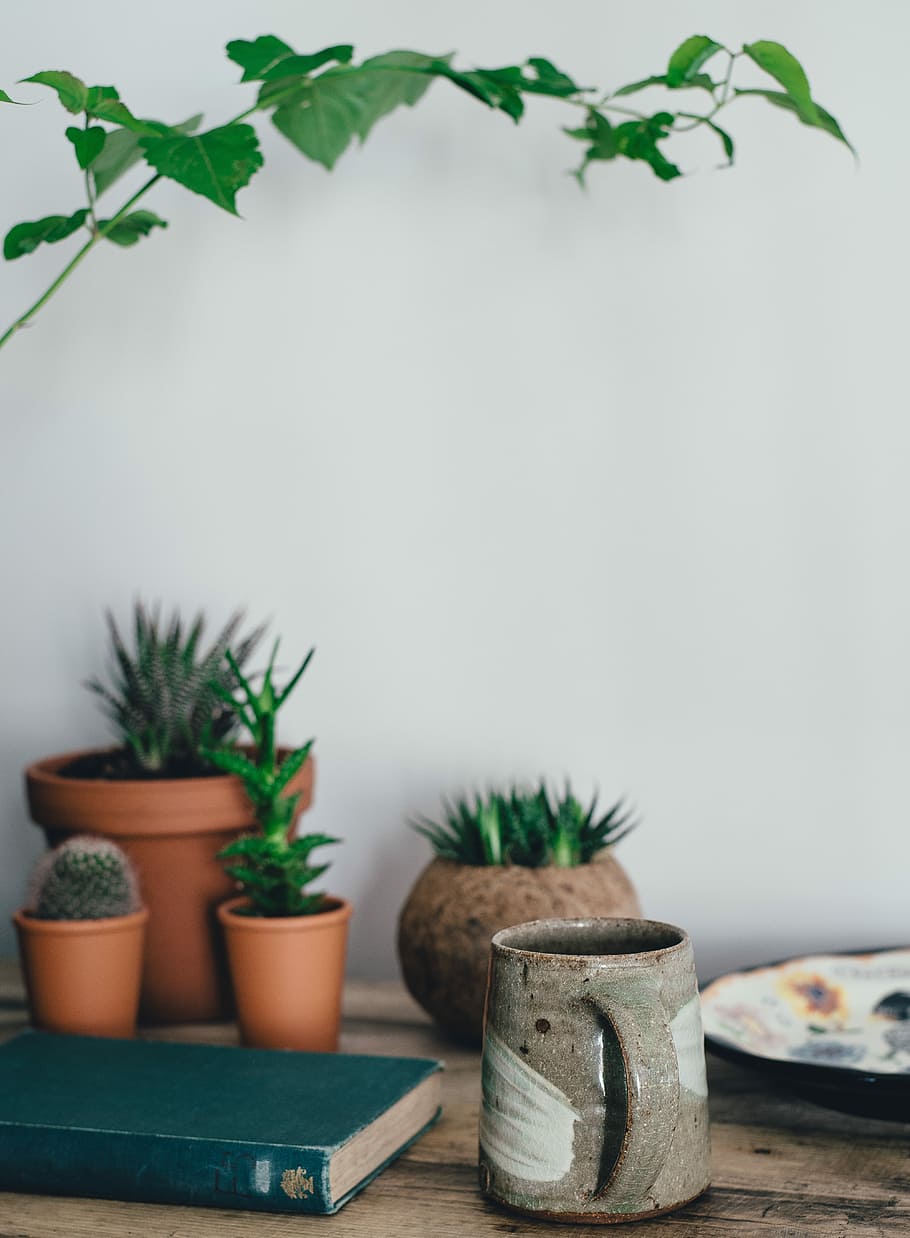selective focus photography of gray ceramic mug on brown table HD wallpaper