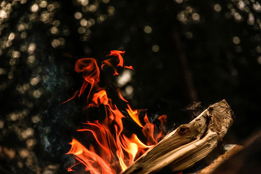 close up photograph of bonfire, bonfire during nighttime, burning HD wallpaper