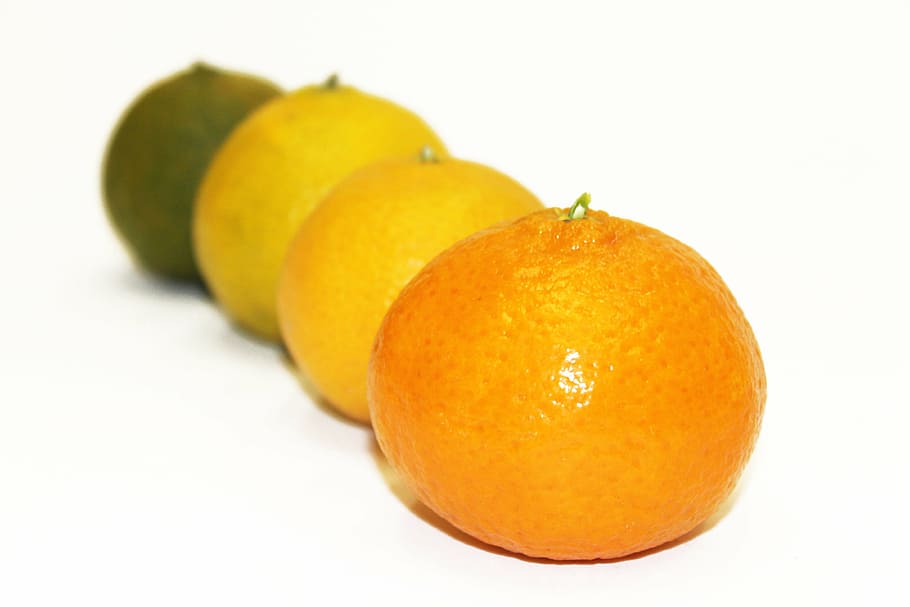 fruit, market, bless you, healthy eating, food and drink, citrus fruit HD wallpaper