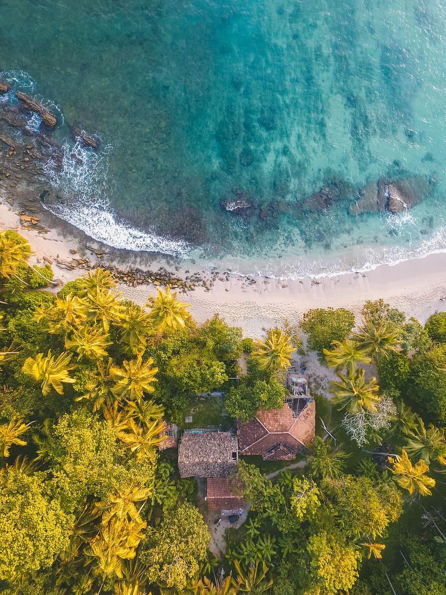 aerial view photography of body of water during daytime, aerial photography of houses on seaside near trees HD wallpaper