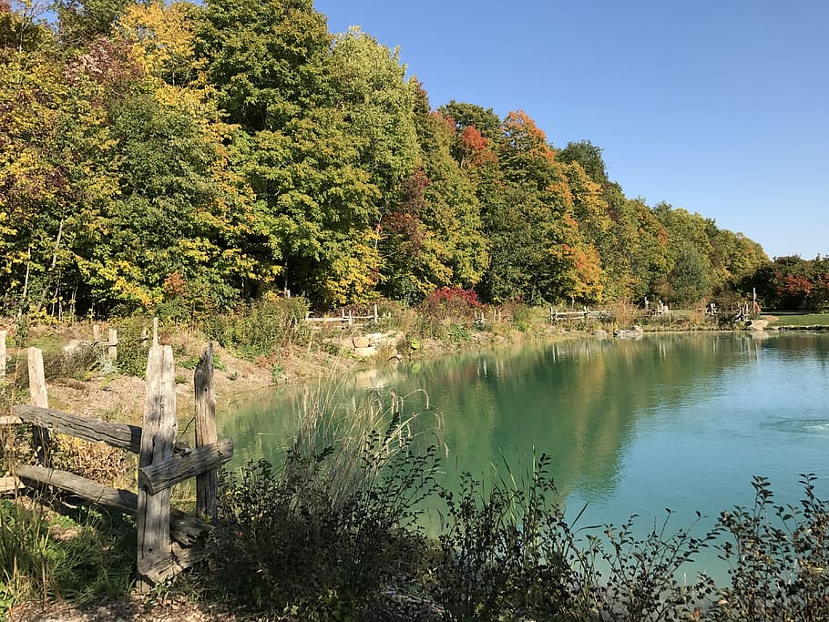 pond, autumn, fall, landscape, park, september, nature, autumnal HD wallpaper